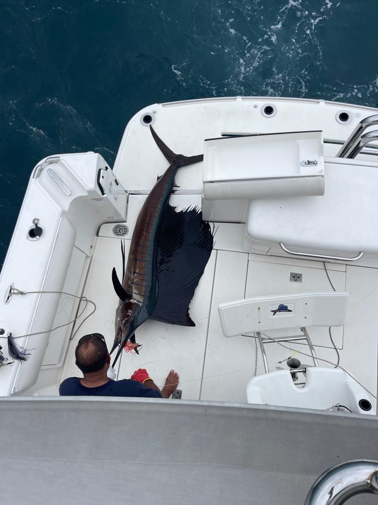 Big game fishing catch