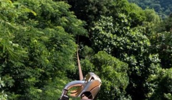 Equipped for zip lining 1