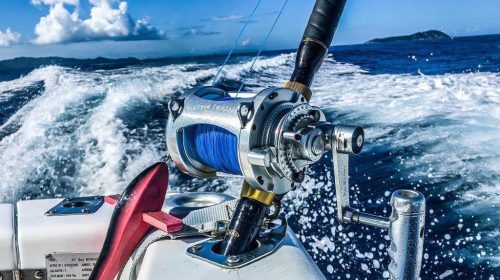 Big Game Fishing rod 2