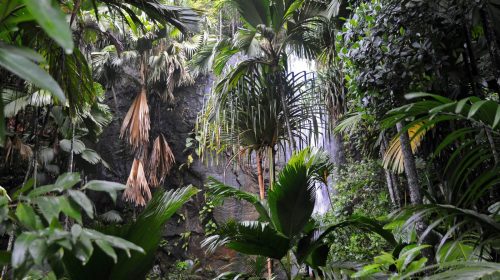 Port Glaud Waterfall