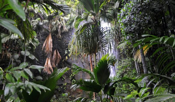 Port Glaud Waterfall