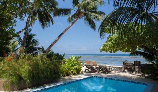 WhatsApp Image 2025-04-15 at 11.49.46 (1)