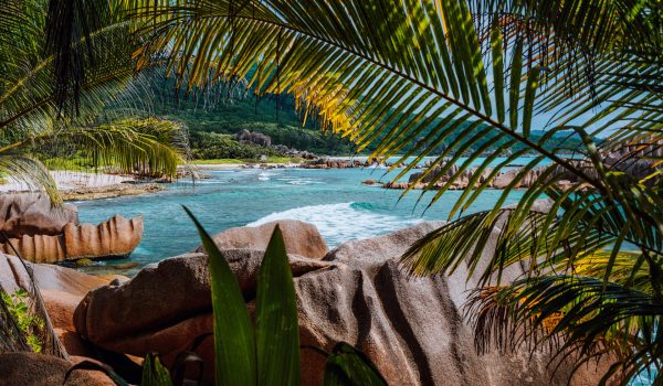 Tropical secluded beach framed by nature foliage on the trekking tour through the jungle to hidden Marron beach, La Digue, Seychelles.